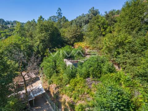 Moradia para Restaurar T0 Venda em Vade,Vila Verde