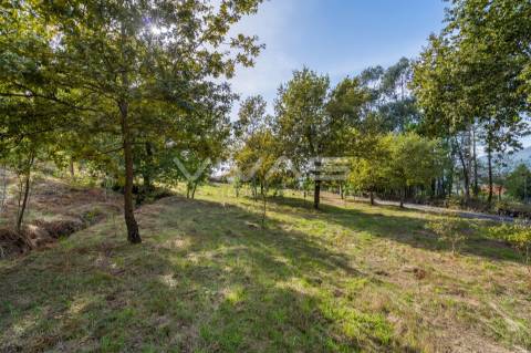 Terreno Para Construção  Venda em Souto,Terras de Bouro