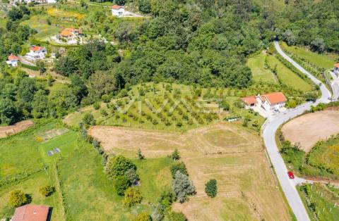 Terreno Para Construção  Venda em Valdreu,Vila Verde