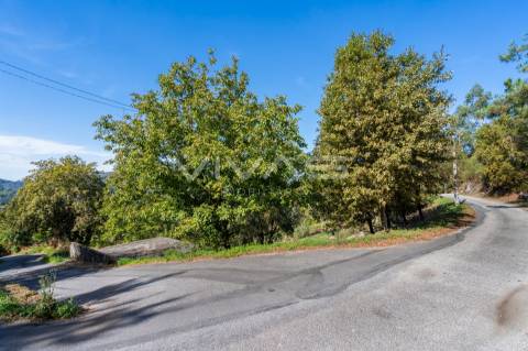Terreno Rústico  Venda em Sande, Vilarinho, Barros e Gomide,Vila Verde