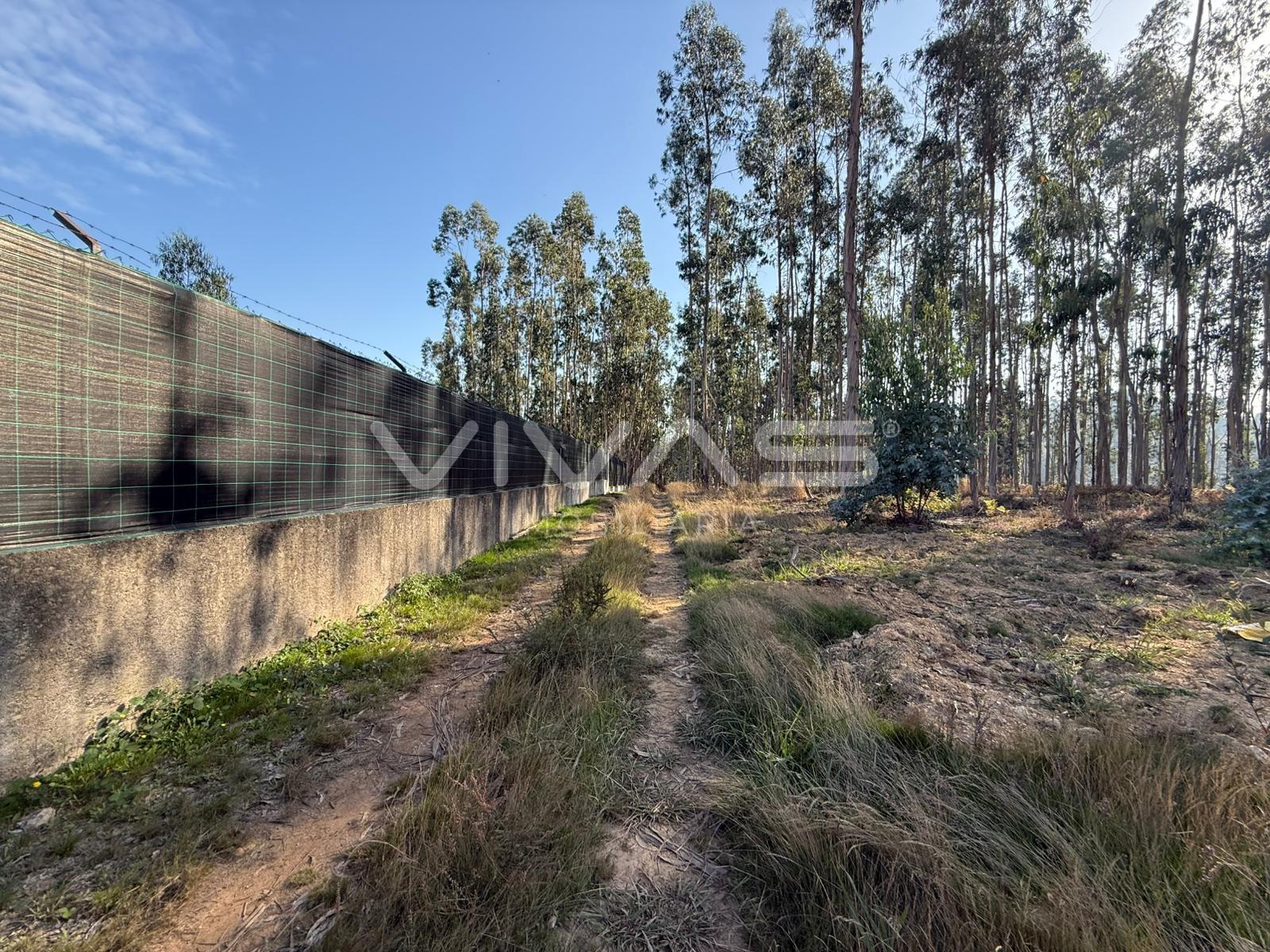 Terreno Rústico  Venda em Ardegão, Freixo e Mato,Ponte de Lima