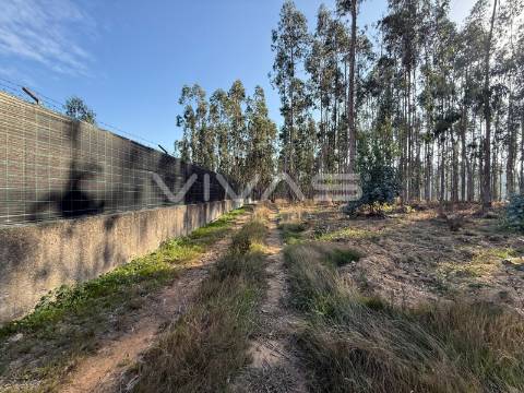 Terreno Rústico  Venda em Ardegão, Freixo e Mato,Ponte de Lima