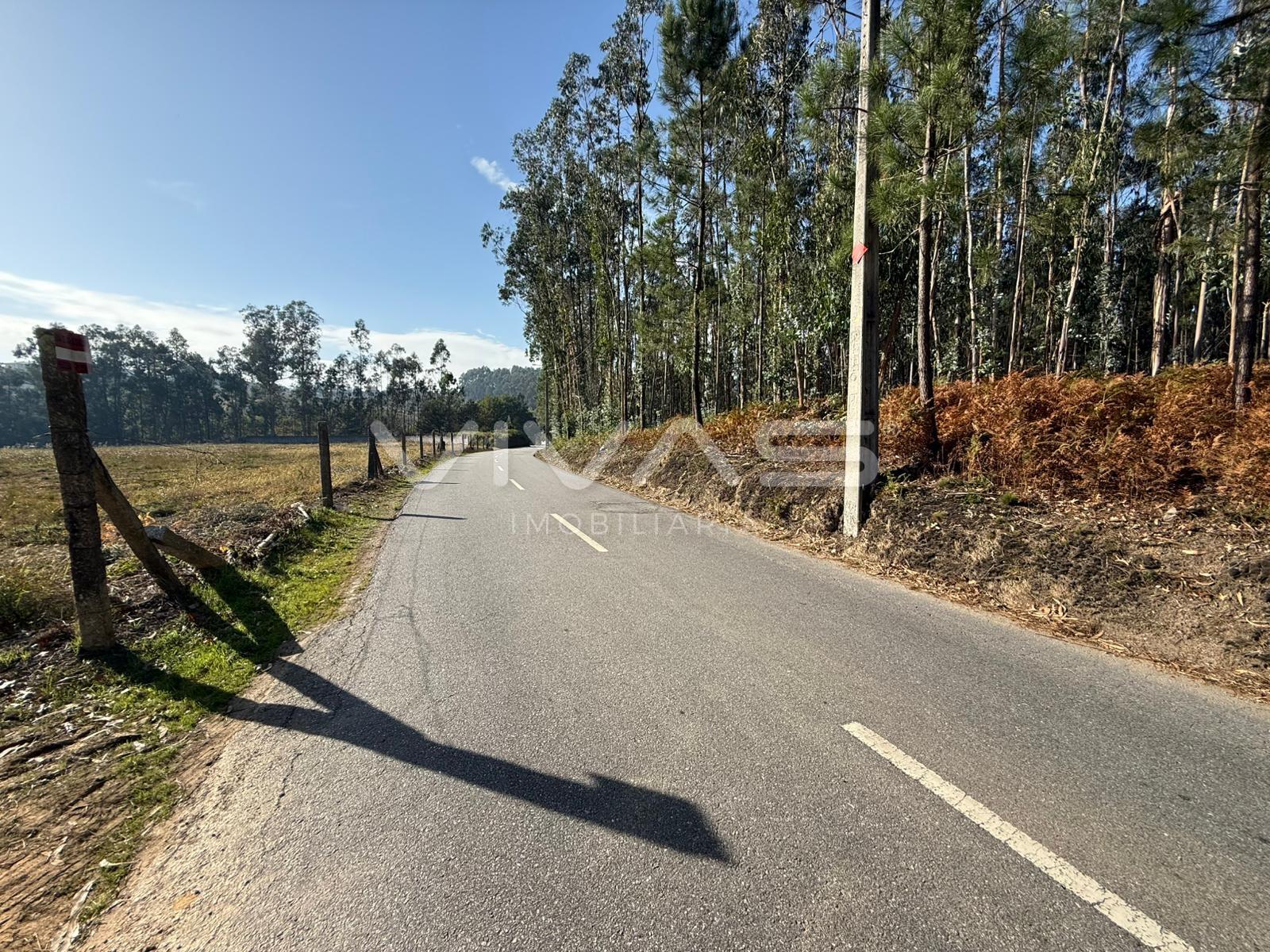 Terreno Rústico  Venda em Ardegão, Freixo e Mato,Ponte de Lima