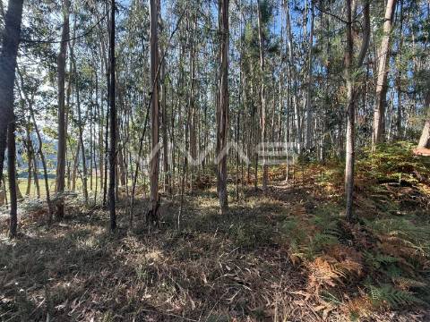 Terreno Rústico  Venda em Ardegão, Freixo e Mato,Ponte de Lima