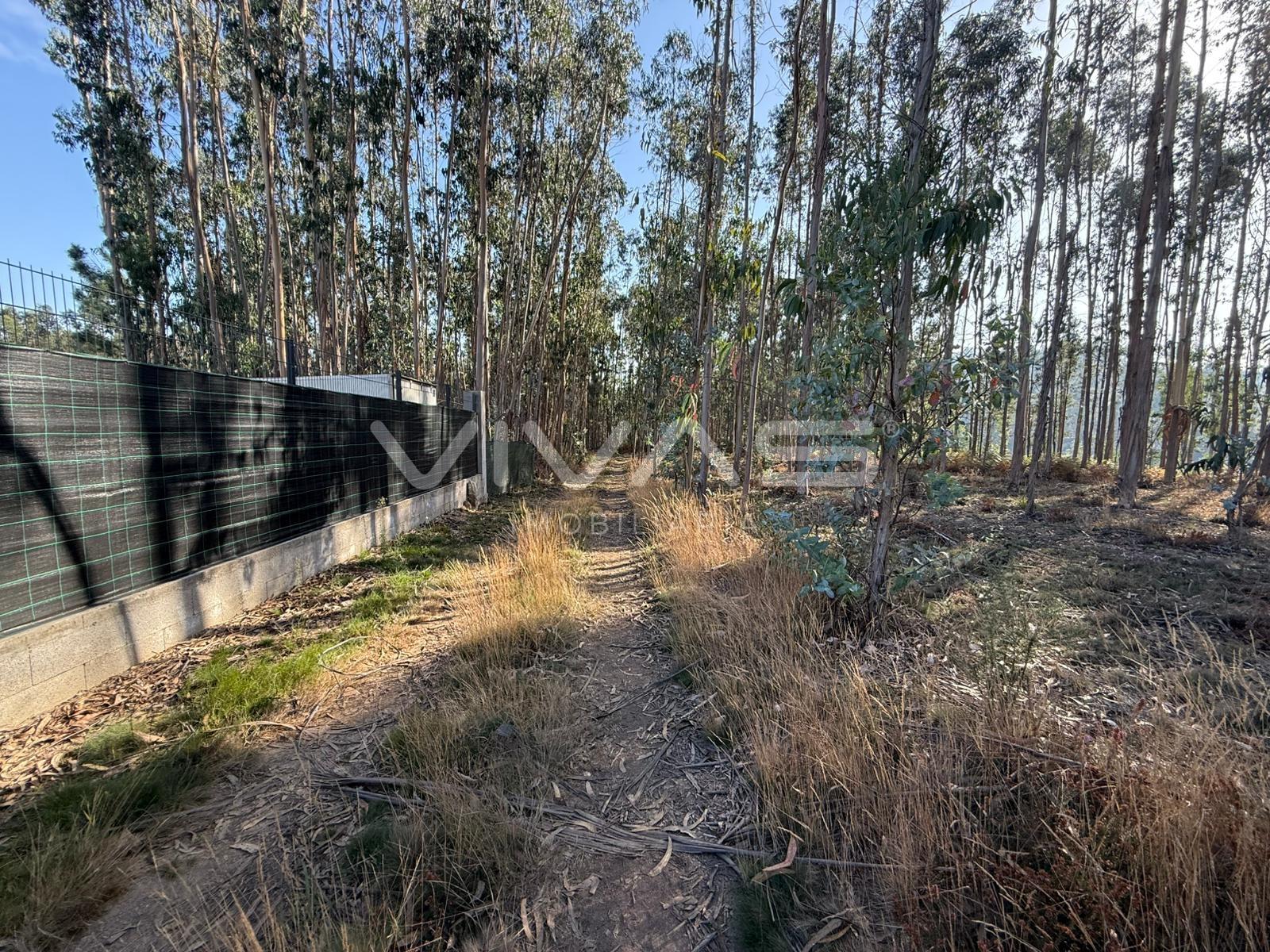 Terreno Rústico  Venda em Ardegão, Freixo e Mato,Ponte de Lima