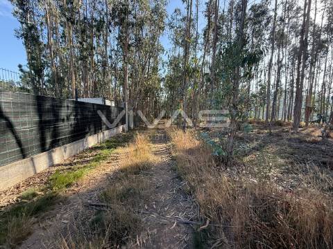 Terreno Rústico  Venda em Ardegão, Freixo e Mato,Ponte de Lima