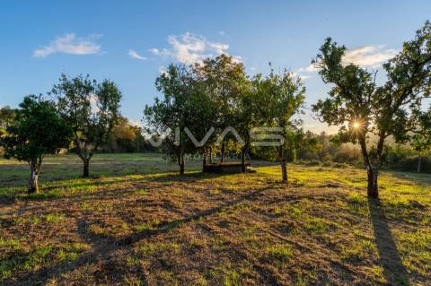 Terreno Para Construção  Venda em Sande, Vilarinho, Barros e Gomide,Vila Verde