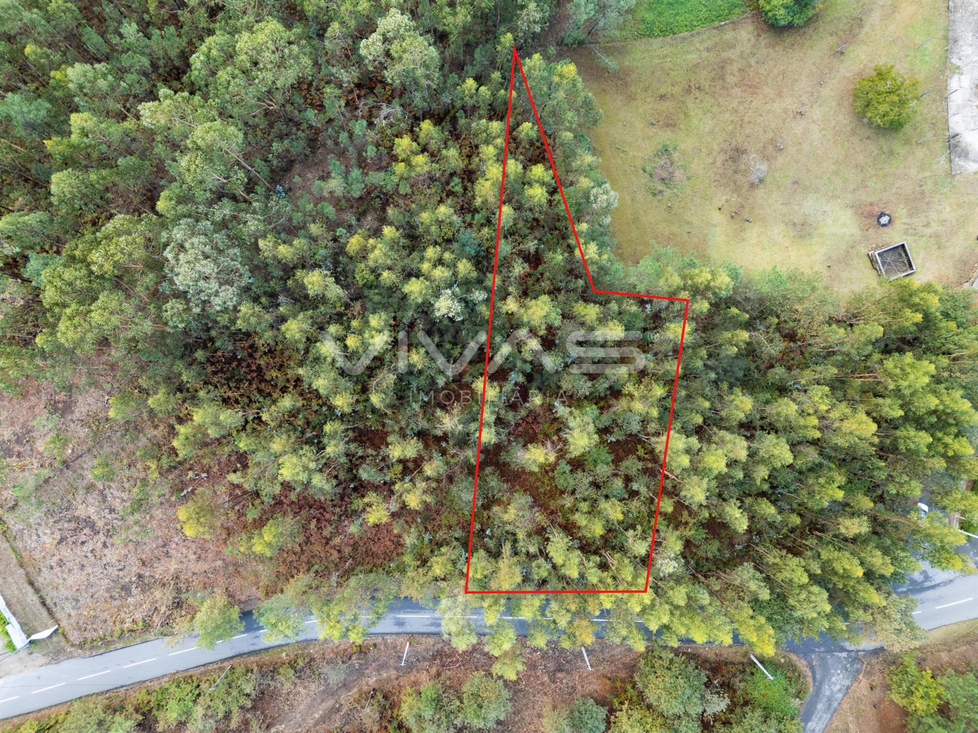 Terreno Para Construção  Venda em Dossãos,Vila Verde