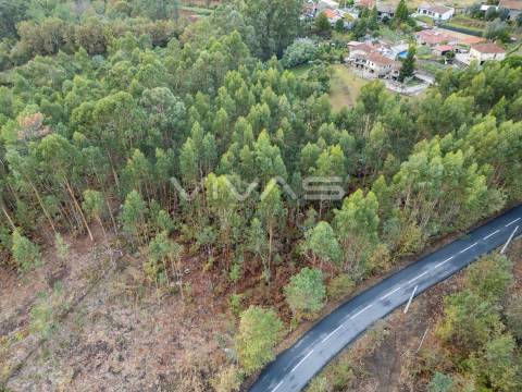 Terreno Para Construção  Venda em Dossãos,Vila Verde