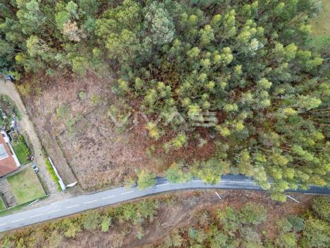 Terreno Para Construção  Venda em Dossãos,Vila Verde