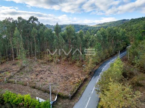 Terreno Para Construção  Venda em Dossãos,Vila Verde
