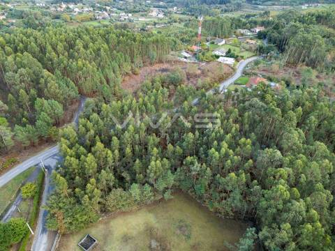 Terreno Para Construção  Venda em Dossãos,Vila Verde