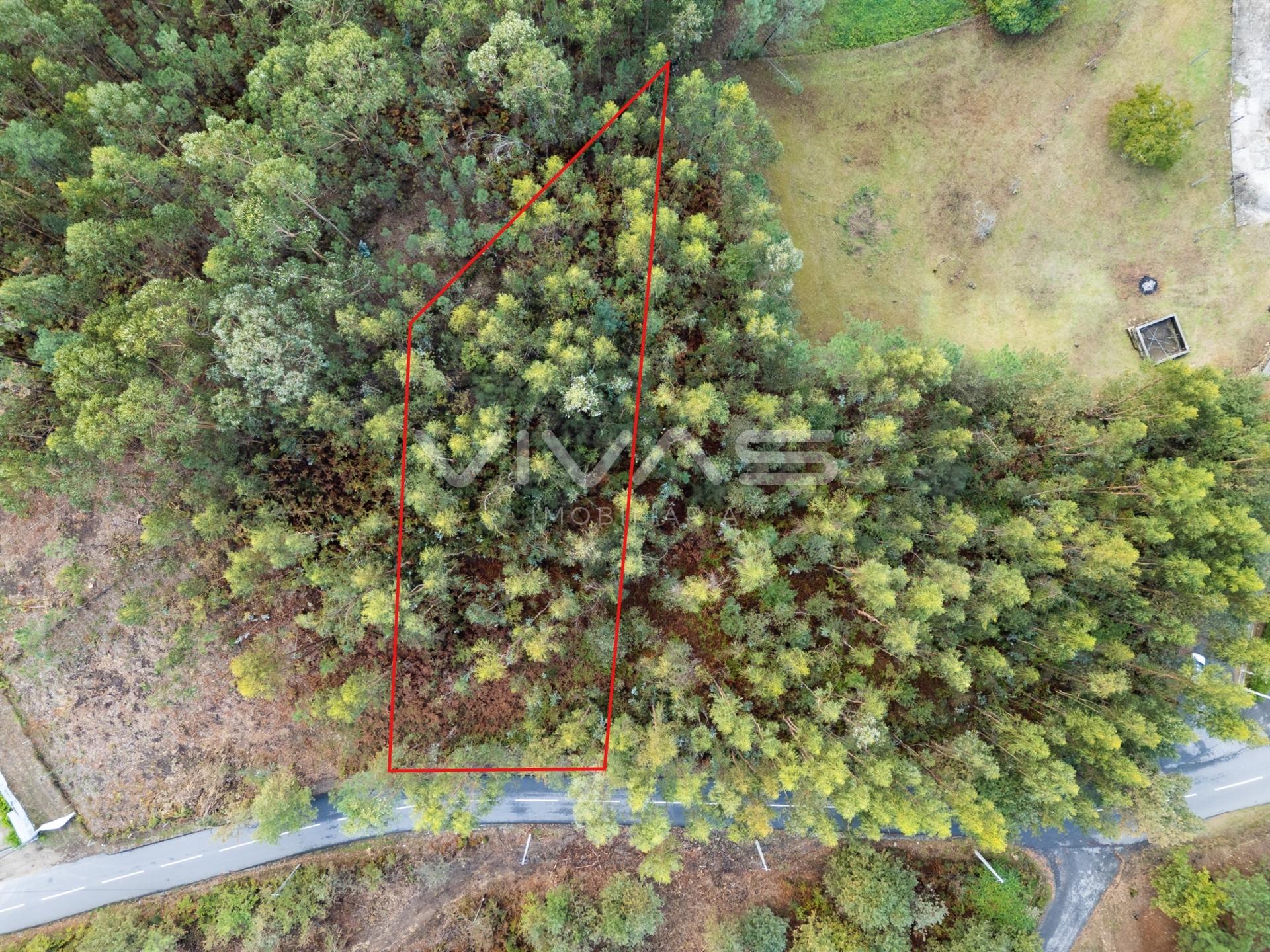 Terreno Para Construção  Venda em Dossãos,Vila Verde