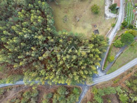 Terreno Para Construção  Venda em Dossãos,Vila Verde