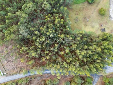 Terreno Para Construção  Venda em Dossãos,Vila Verde
