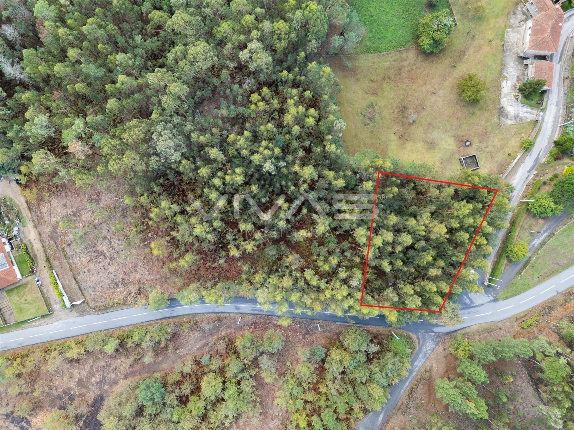 Terreno Para Construção  Venda em Dossãos,Vila Verde