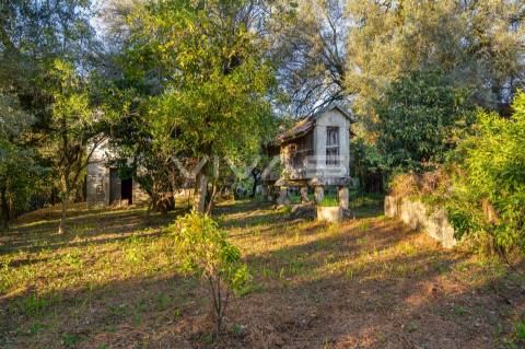 Quinta  Venda em Bouro (Santa Marta),Amares