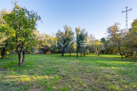 Quinta  Venda em Bouro (Santa Marta),Amares
