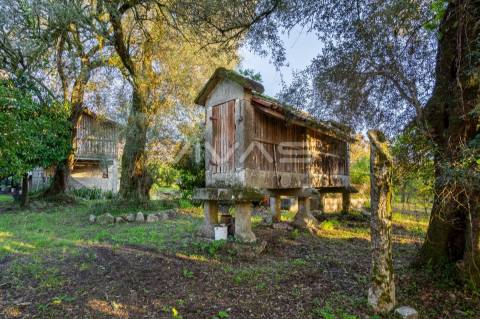Quinta  Venda em Bouro (Santa Marta),Amares