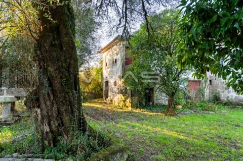 Quinta  Venda em Bouro (Santa Marta),Amares