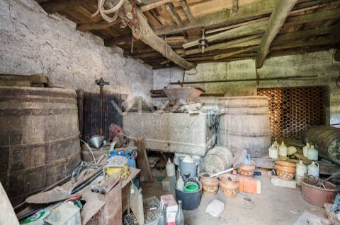 Quinta  Venda em Bouro (Santa Marta),Amares