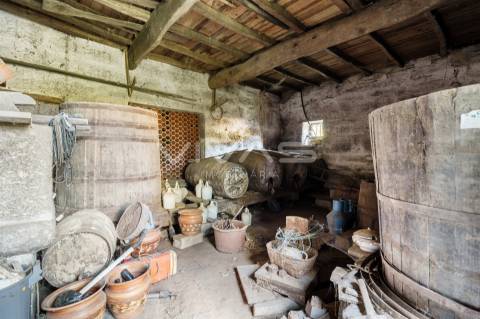 Quinta  Venda em Bouro (Santa Marta),Amares