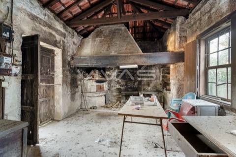 Quinta  Venda em Bouro (Santa Marta),Amares