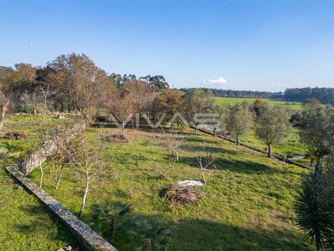 Terreno Para Construção  Venda em Friastelas,Ponte de Lima