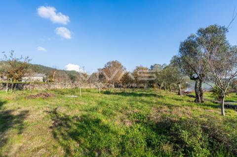 Terreno Para Construção  Venda em Friastelas,Ponte de Lima