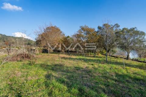 Terreno Para Construção  Venda em Friastelas,Ponte de Lima