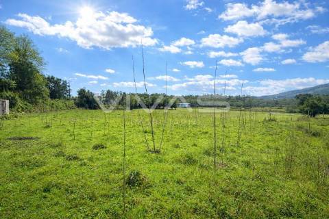 Terreno Rústico  Venda em Marrancos e Arcozelo,Vila Verde