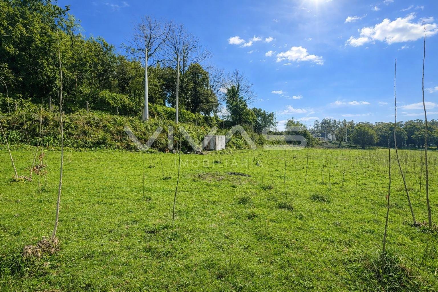 Terreno Rústico  Venda em Marrancos e Arcozelo,Vila Verde