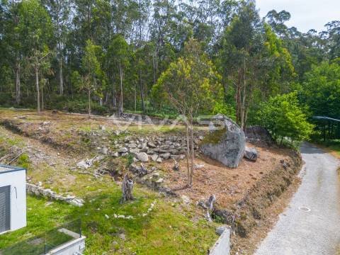 Terreno Para Construção  Venda em Fiscal,Amares