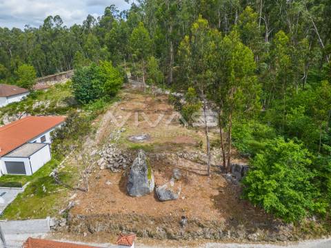 Terreno Para Construção  Venda em Fiscal,Amares