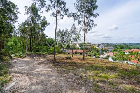 Terreno Para Construção  Venda em Fiscal,Amares