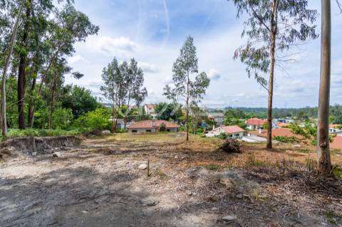 Terreno Para Construção  Venda em Fiscal,Amares