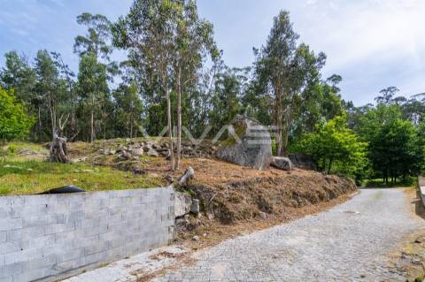 Terreno Para Construção  Venda em Fiscal,Amares