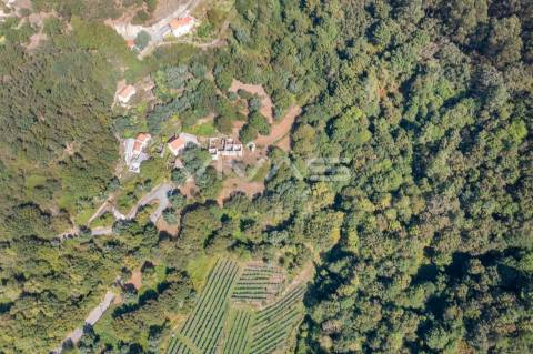 Moradia para Restaurar T0 Venda em Vade,Vila Verde