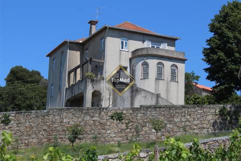 Quinta, vinha de 7 hectares