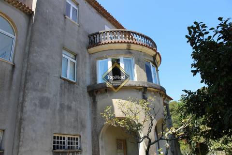 Quinta, vinha de 7 hectares