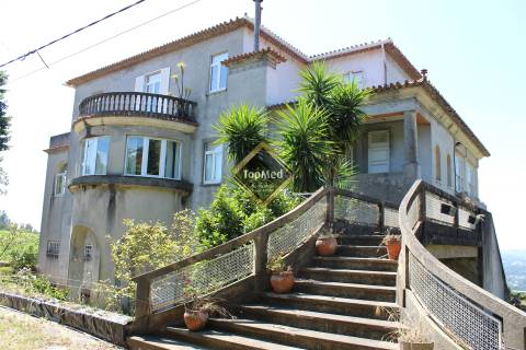 Quinta, vinha de 7 hectares