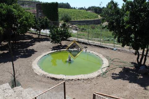 Quinta, vinha de 7 hectares