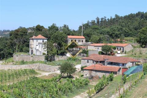 Quinta, vinha de 7 hectares