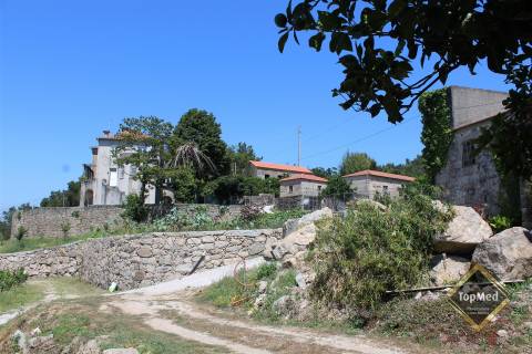 Quinta, vinha de 7 hectares