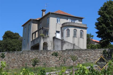 Quinta, vinha de 7 hectares
