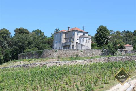 Quinta, vinha de 7 hectares