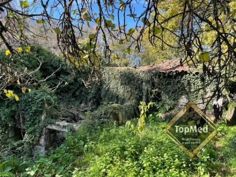 Quinta com 3 casas para restauro em Ribeiros - FAFE