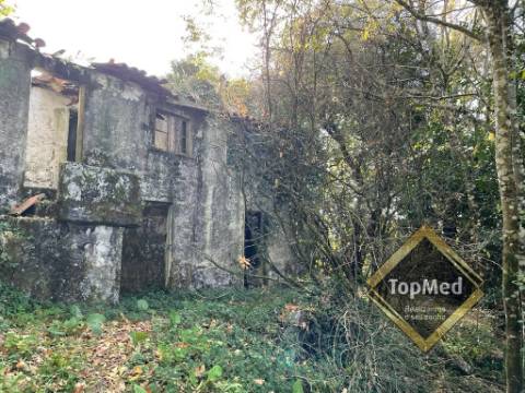 Quinta com 3 casas para restauro em Ribeiros - FAFE