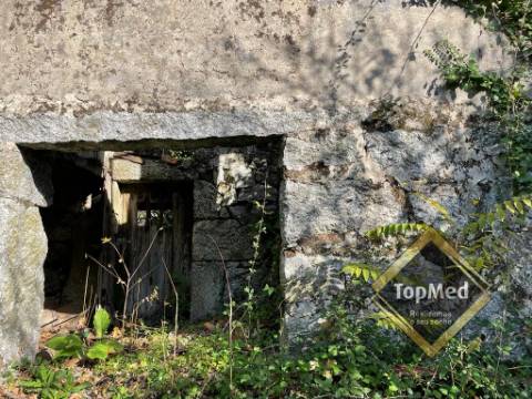 Quinta com 3 casas para restauro em Ribeiros - FAFE