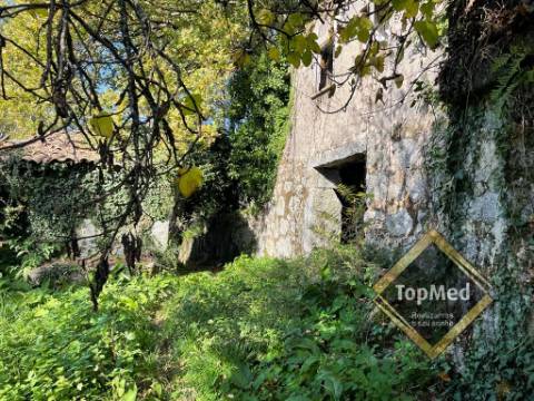 Quinta com 3 casas para restauro em Ribeiros - FAFE